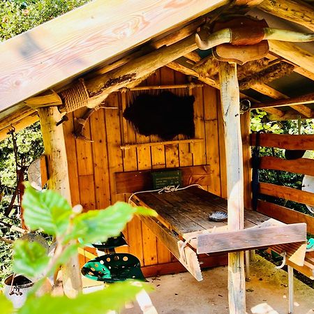 La Cabane Perchee Du Trappeur Écrainville Екстериор снимка