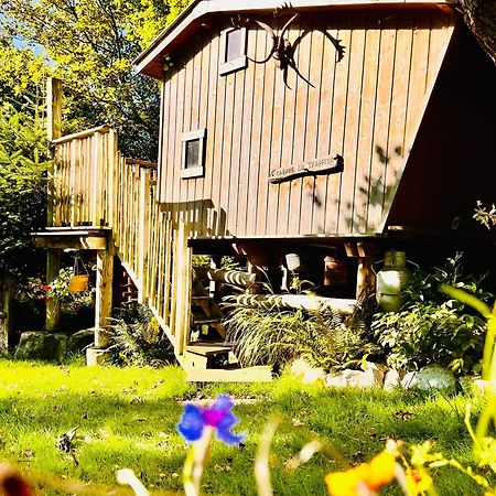 La Cabane Perchee Du Trappeur Écrainville Екстериор снимка