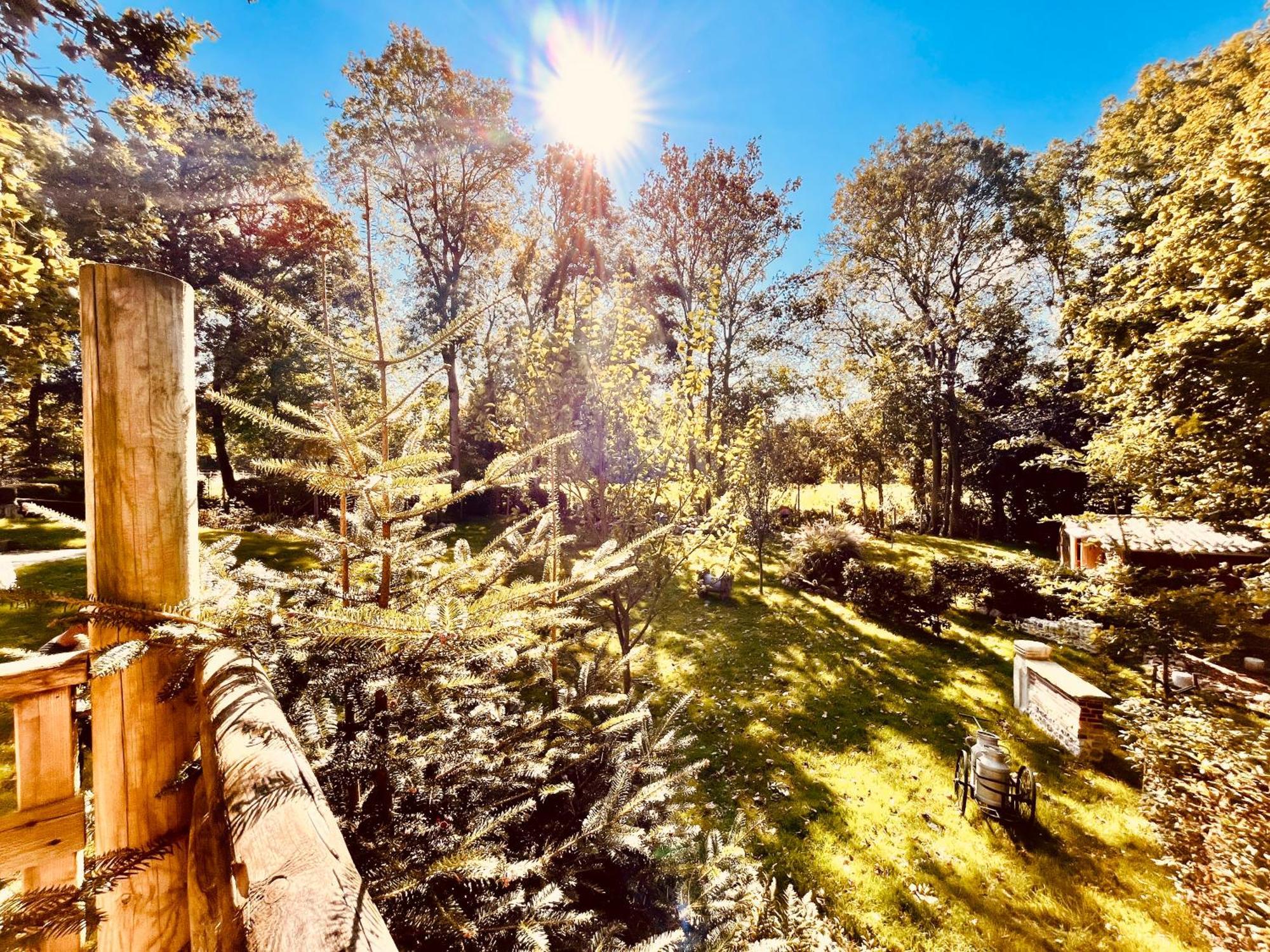 La Cabane Perchee Du Trappeur Écrainville Екстериор снимка